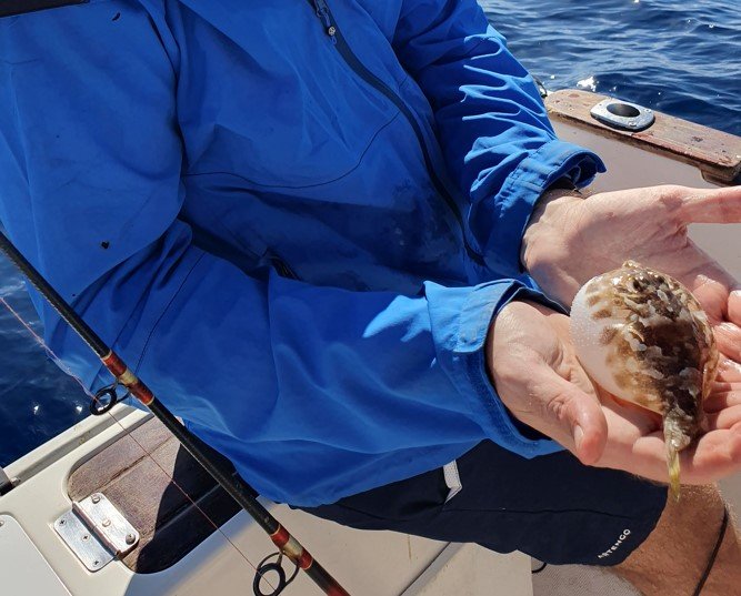 Práctica de la pesca